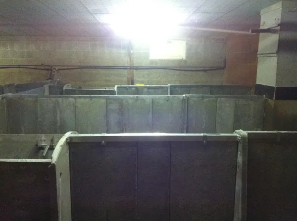 Photo de réalisation - 