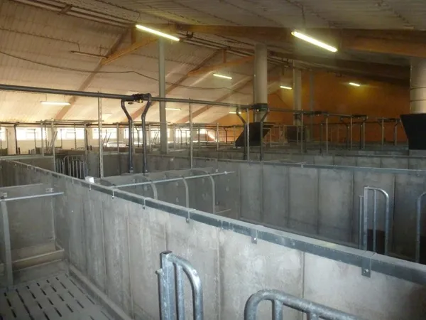 Photo de réalisation - 