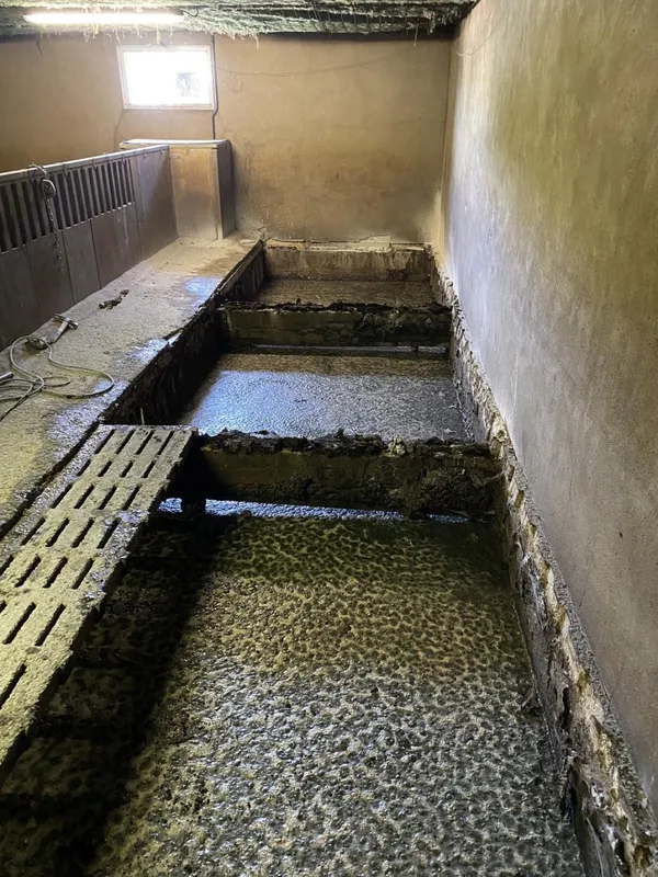 Photo de réalisation - 