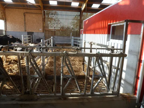 Photo de réalisation - 