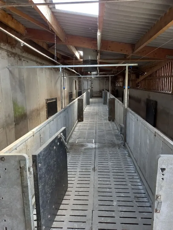 Photo de réalisation - 