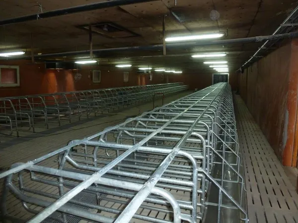 Photo de réalisation - 