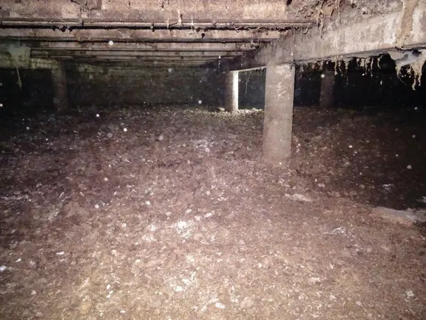 Photo de réalisation - 